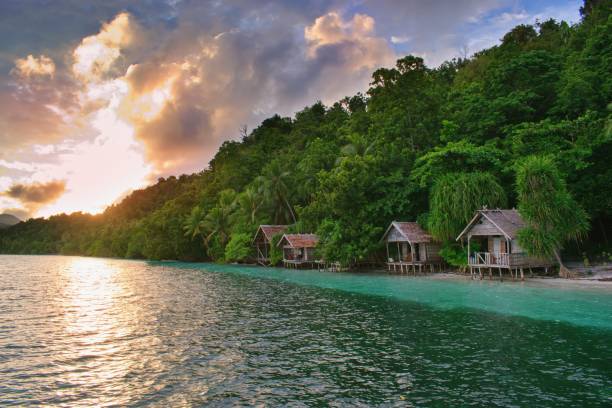 Beautiful sunset above typical wooden bungalows on the beach - Kri Island, Raja Ampat, West Papua, Indonesia Beautiful sunset above typical wooden bungalows on the beach - Kri Island, Raja Ampat, West Papua, Indonesia indo pacific ocean stock pictures, royalty-free photos & images