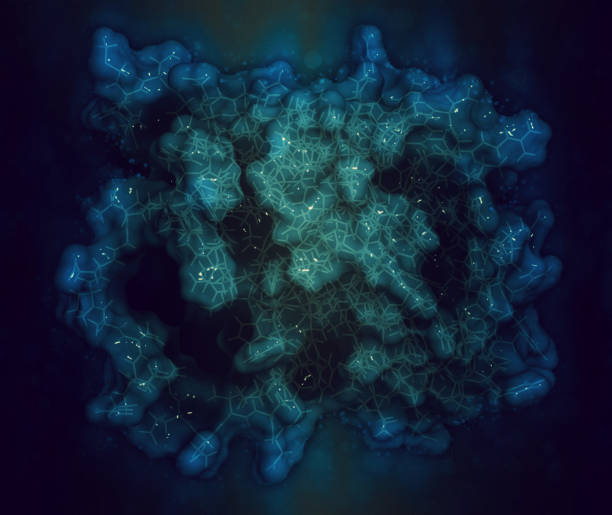 istock BCL-2 protein, 3D rendering. Prevents apoptosis (cell death) and 1440765506