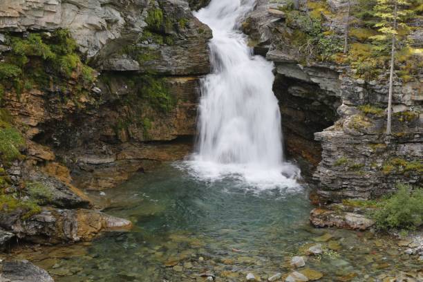 istock Vertical shot of a waterfall on a sunny day in a forest 1440766452