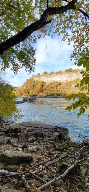 istock Beautiful view of a river surrounded by autumn trees in a forest 1440766538