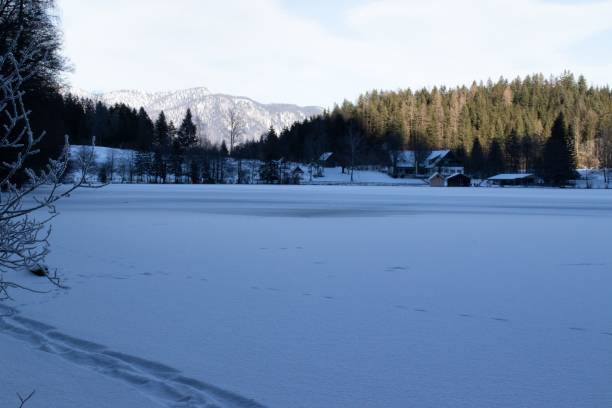 istock Beautiful winter landscape in the mountains 1440767064
