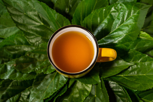 Goiânia, Goias, Brazil – November 11, 2022: A mug of yellow tea, on top of several fresh green leaves. Concept of healing through nature.