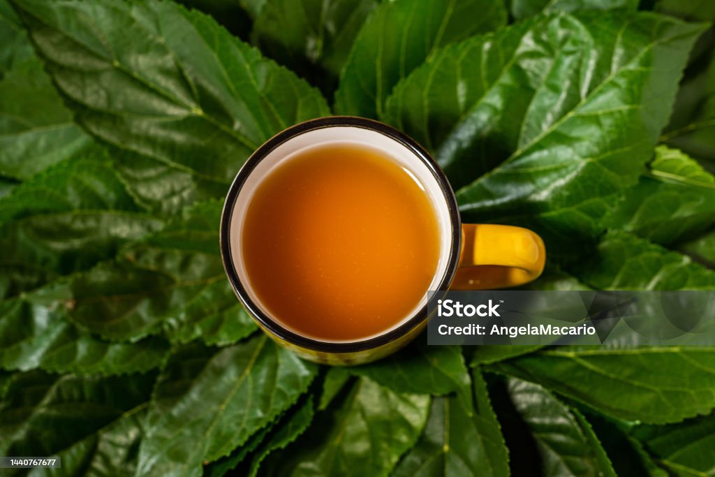 A mug of yellow tea. Goiânia, Goias, Brazil – November 11, 2022: A mug of yellow tea, on top of several fresh green leaves. Concept of healing through nature. Aromatherapy Stock Photo