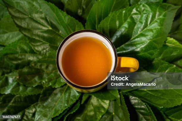 A Mug Of Yellow Tea Stock Photo - Download Image Now - Aromatherapy, Brazil, Breakfast