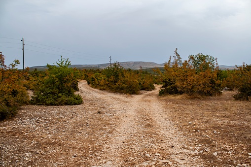 A scenic view of trail crossroad in a green field under a cloudy sky in Dalmatia, Croatia