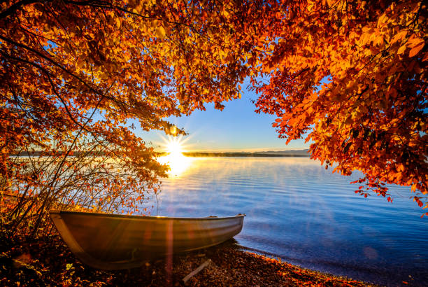 istock old row boat at a lake 1440768338