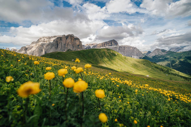 istock Alpine meadow and Sella group in Dolomites, Italy. 1440770109