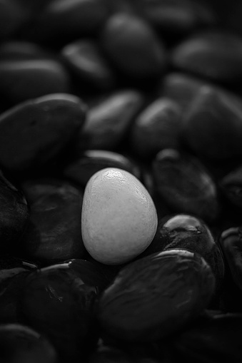 A vertical monochrome shot of a pile of black tiny pebbles and a single white stone in the center