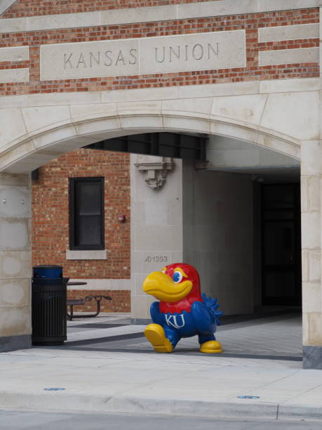 vertikale aufnahme der ku jayhawks statue im natural history museum der university of kansas in den usa - university of kansas stock-fotos und bilder