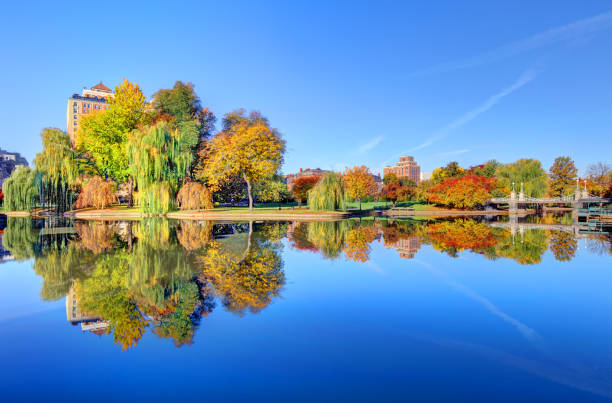 istock Autumn in the Boston Public Garden 1440770994