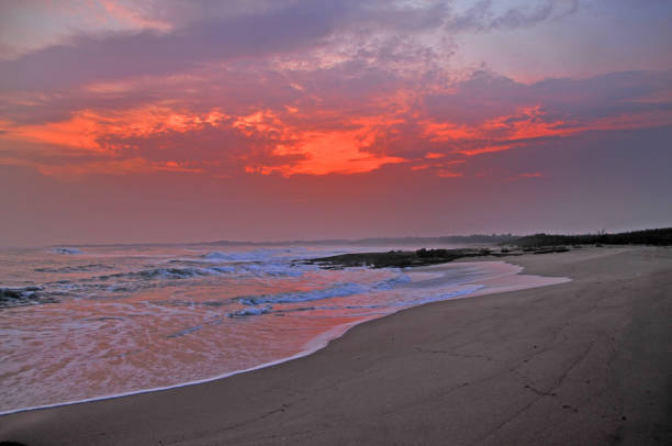 istock Beautiful bright orange sunset over a seashore 1440771305