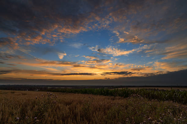 tramonto sopra un campo d'erba - colortones foto e immagini stock