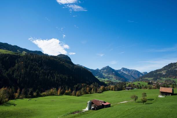 istock Autumn in Bern mountains, Switzerland 1440771905