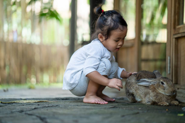 istock Little Thai girl playing with a rabbit 1440771969