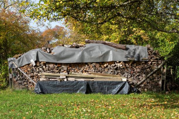 istock Firewood in times of Ukraine war 1440772466