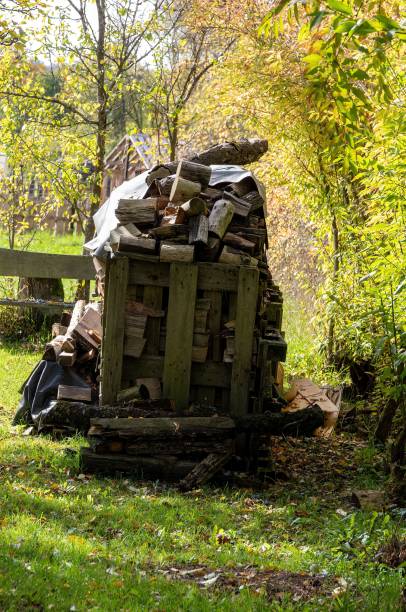 istock Firewood in times of Ukraine war 1440772488