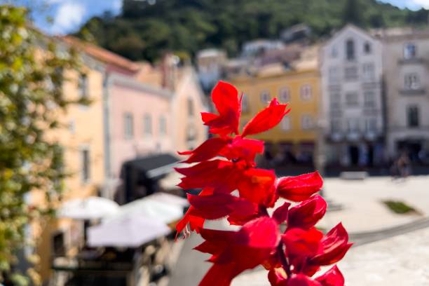 Tourists hanging out at Praca Da Republica in Sintra Sintra, Portugal – September 18, 2022: Tourists hanging out at Praca Da Republica caleche stock pictures, royalty-free photos & images