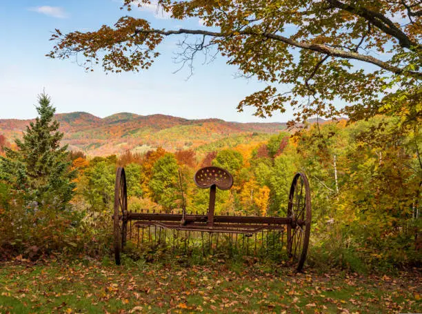 Photo of Horse drawn rake by fall colors in Vermont
