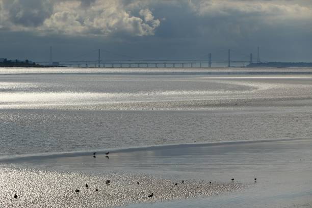 istock Wide ocean with a bridge background on a cloudy sky 1440773543