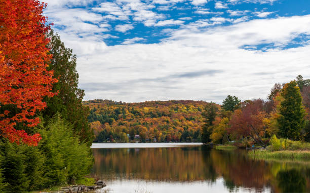istock Calm reflections of fall trees in Silver Lake Vermont 1440774506