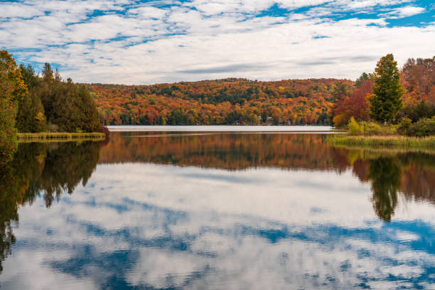istock Calm reflections of fall trees in Silver Lake Vermont 1440774918