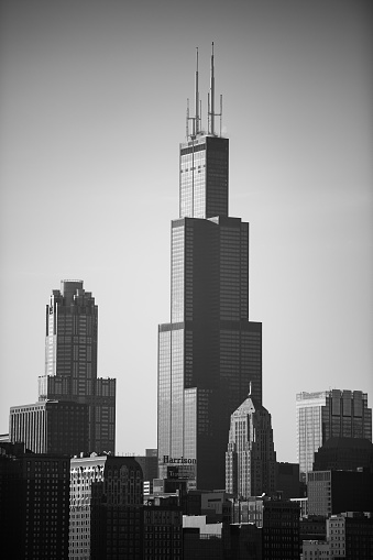 Chicago, United States – February 26, 2021: A vertical grayscale of the Willis Tower