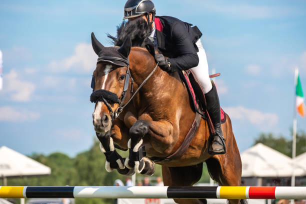 Horse Jumping, Equestrian Sports, Show Jumping themed photo. Riders at a horse jumping competition. equestrian show jumping stock pictures, royalty-free photos & images