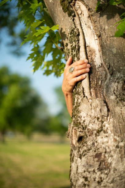 istock Vertical shot of a female hand with a ring clutching a tree 1440776346