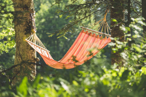 istock Selective focus shot of a hammock in the sun 1440776606