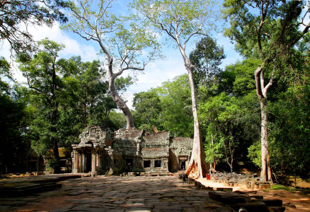 tempio di ta phrom a krong, cambogia - bayon phrom foto e immagini stock