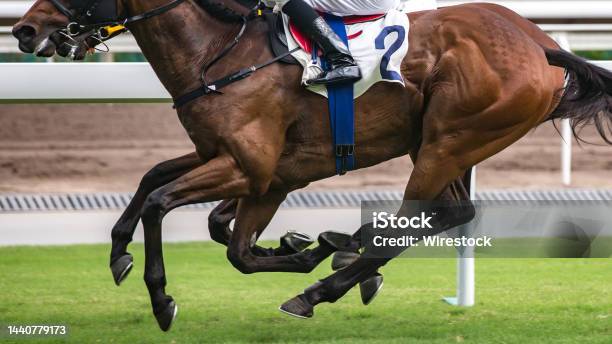 Horse Racing Themed Photograph Horses Running On The Race Track Stock Photo - Download Image Now