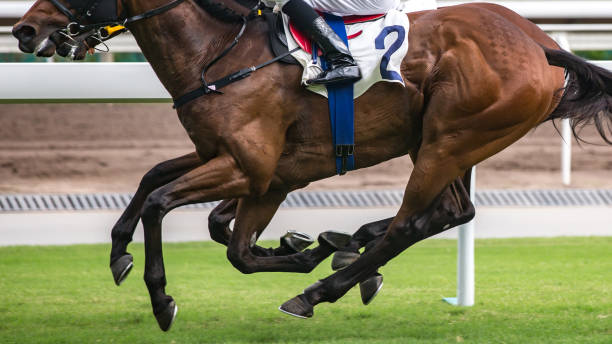 horse racing themed photograph. horses running on the race track. - photography running horizontal horse imagens e fotografias de stock