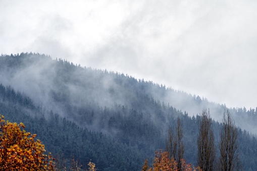 A beautiful view of a mountain covered with trees under cloudy sky in a mist during fall