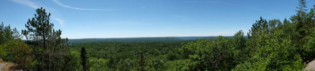 istock Panoramic shot of a green dense forest during a sunny day 1440781319