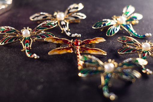 The beautiful brooches in the form of a dragonfly