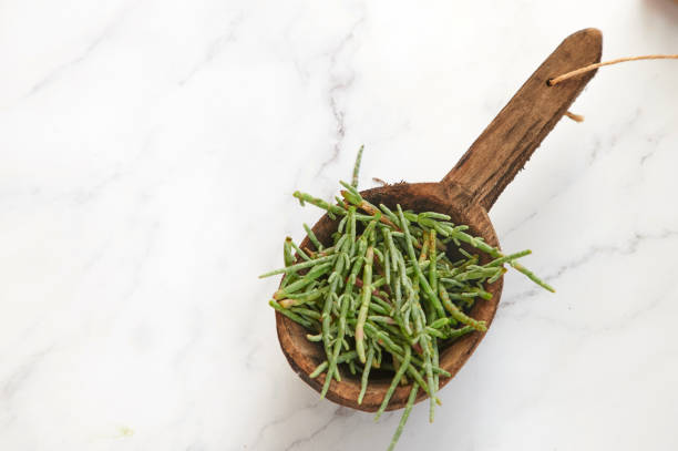 Wooden spoon with sea beans on a white marble surface A wooden spoon with sea beans on a white marble surface salicornia stock pictures, royalty-free photos & images