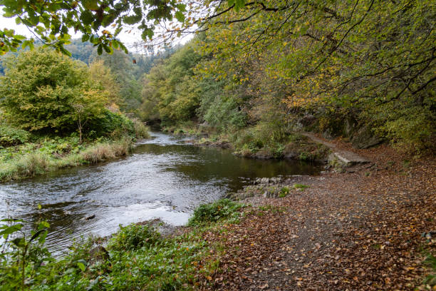 Fluss Pictures | Download Free Images on Unsplash