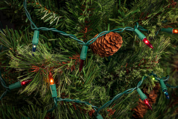 Christmas string lights with bad bulb on Xmas tree. Holiday lighting repair, safety and decoration concept. stock photo