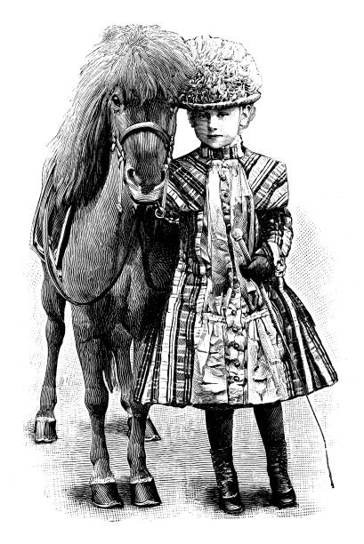 ilustraciones, imágenes clip art, dibujos animados e iconos de stock de imagen antigua: reina guillermina de los países bajos, 1890 - fotos de caballos finos