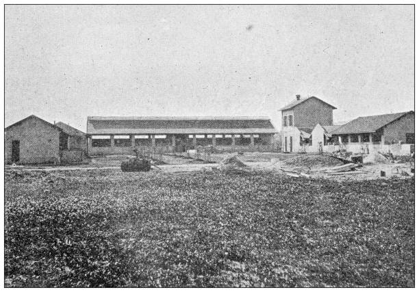 istock Antique image: Agriculture in Tunisia, Farm in Essai 1440789217