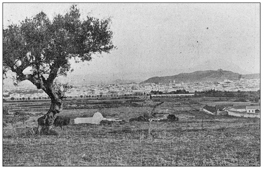Antique image: Agriculture in Tunisia, Tunis from Belvedere