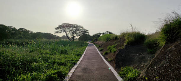 istock Beautiful sunset and a country road with nice view 1440789525