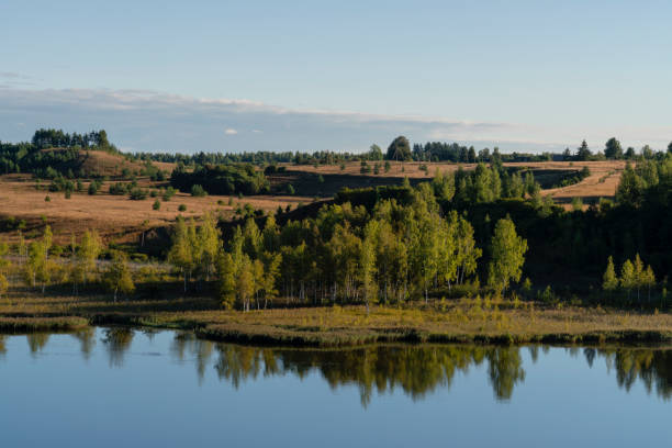 晴れた夏の朝のイズボルスコ-マルスカヤ渓谷のゴロディシュチェンスコエ湖の眺め、イズボルスク、ペチェールスク地区、プスコフ地方、ロシア - swan bird water fog ストックフォトと画像