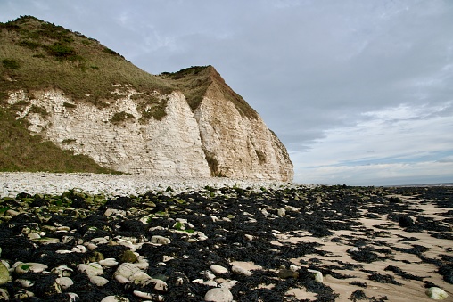 Rocky beach with chalk cliffs in background.