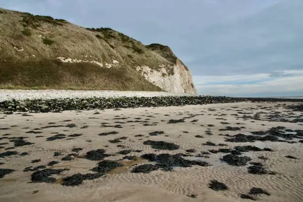 Rocky beach with chalk cliffs in background.