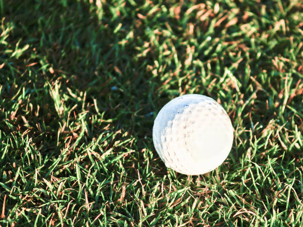 istock Long shadow on golfball on green grass at sunrise 1440794363