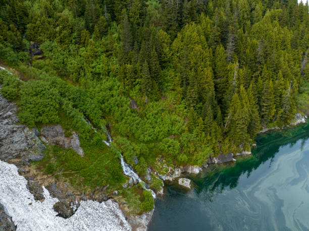 istock Shoreline of a an alpine Mountain Lake 1440797838