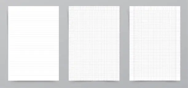 Vector illustration of Math & Lined Paper Pages Vector Realistic Illustration