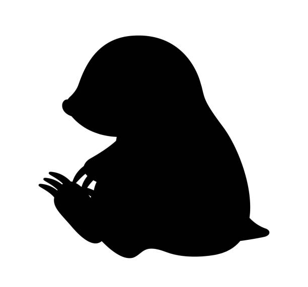 Dark silhouette of mole Dark silhouette of mole. Underground inhabitant, animal silhouette. Fauna and biology. Graphic element for printing on fabric. Aesthetics, beauty and elegance. Cartoon flat vector illustration mole animal stock illustrations