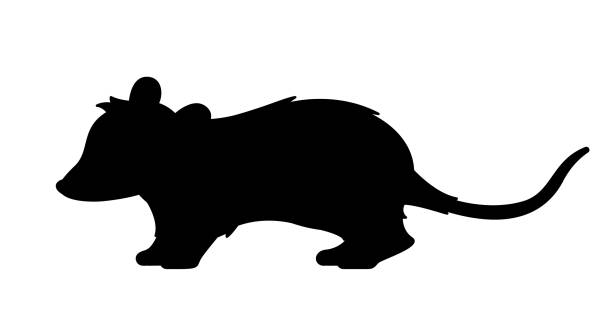 Dark silhouette of opossum Dark silhouette of opossum. Shadow of wild animal, nature and biology. Graphic element for printing on fabric. Creativity and art. Aesthetics and elegance, beauty. Cartoon flat vector illustration opossum stock illustrations